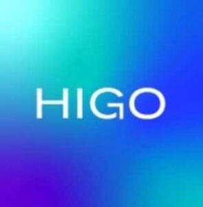 Logo Perusahaan HIGO - Lowongan Kerja Account Executive