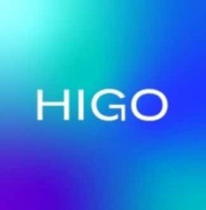 Logo Perusahaan HIGO - Lowongan Kerja Campaign Strategist Intern