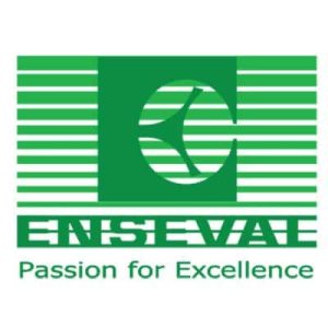 Logo Perusahaan Enseval Putera Megatrading Tbk - Lowongan Kerja Web Developer