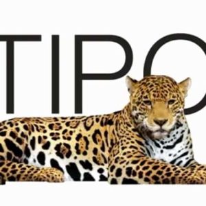 Logo Perusahaan Multipolar Technology - Lowongan Kerja Application Developer